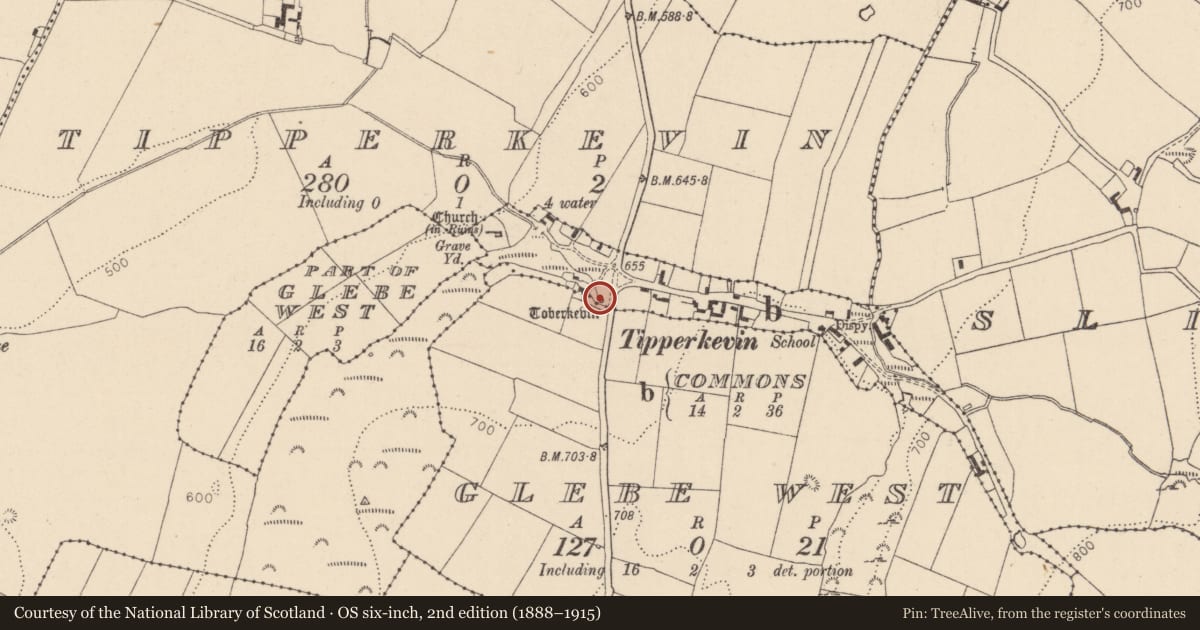 Ordnance Survey six-inch map, 2nd edition (1888–1915) covering the location of Ritual site - holy well, Commons, County Kildare, with a pin at the register's coordinates