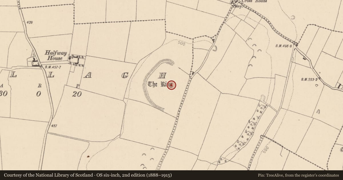 Ordnance Survey six-inch map, 2nd edition (1888–1915) covering the location of Enclosure - large enclosure, Sillagh, County Kildare, with a pin at the register's coordinates
