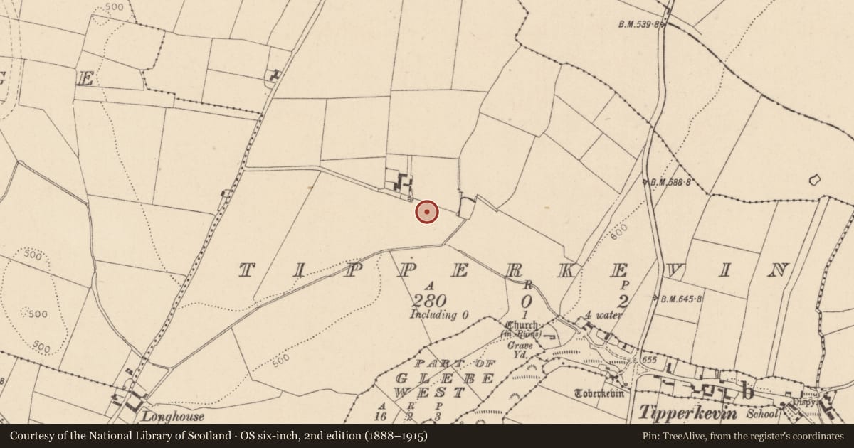 Ordnance Survey six-inch map, 2nd edition (1888–1915) covering the location of Road - road/trackway, Tipperkevin, County Kildare, with a pin at the register's coordinates
