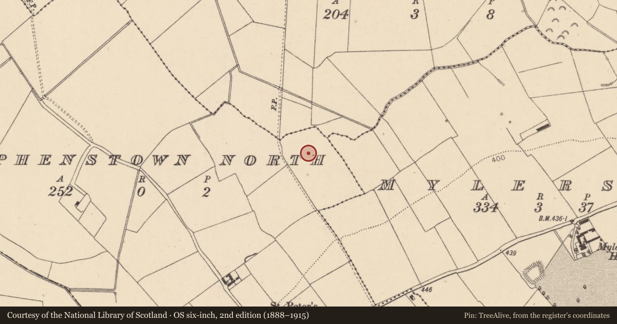 Ordnance Survey six-inch map, 2nd edition (1888–1915) covering the location of Enclosure, Stephenstown North, County Kildare, with a pin at the register's coordinates