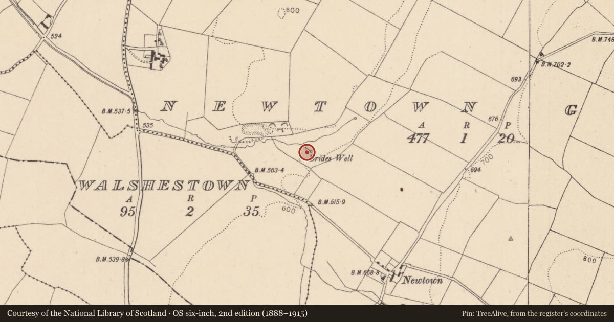 Ordnance Survey six-inch map, 2nd edition (1888–1915) covering the location of Ritual site - holy well, Newtown Great, County Kildare, with a pin at the register's coordinates