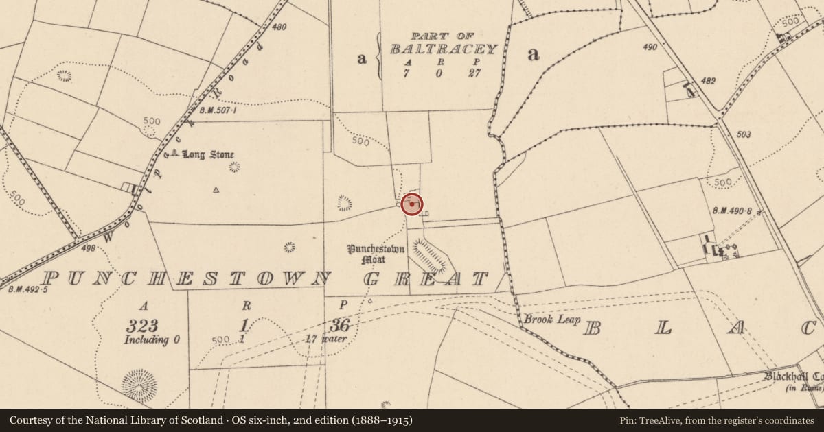 Ordnance Survey six-inch map, 2nd edition (1888–1915) covering the location of House - 17th century, Punchestown Great, County Kildare, with a pin at the register's coordinates