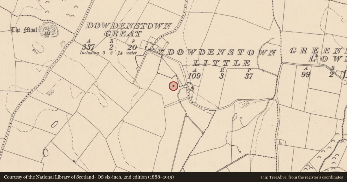 Ordnance Survey six-inch map, 2nd edition (1888–1915) covering the location of Enclosure, Dowdenstown Great, County Kildare, with a pin at the register's coordinates