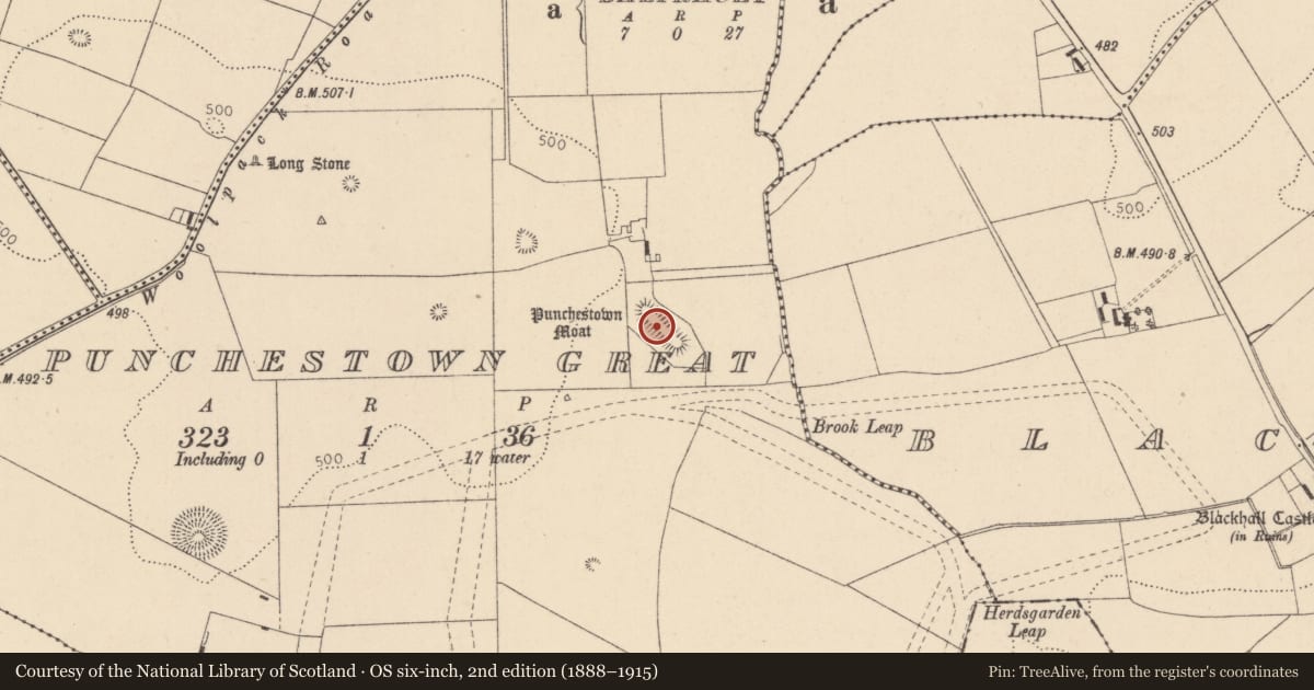 Ordnance Survey six-inch map, 2nd edition (1888–1915) covering the location of Enclosure, Punchestown Great, County Kildare, with a pin at the register's coordinates