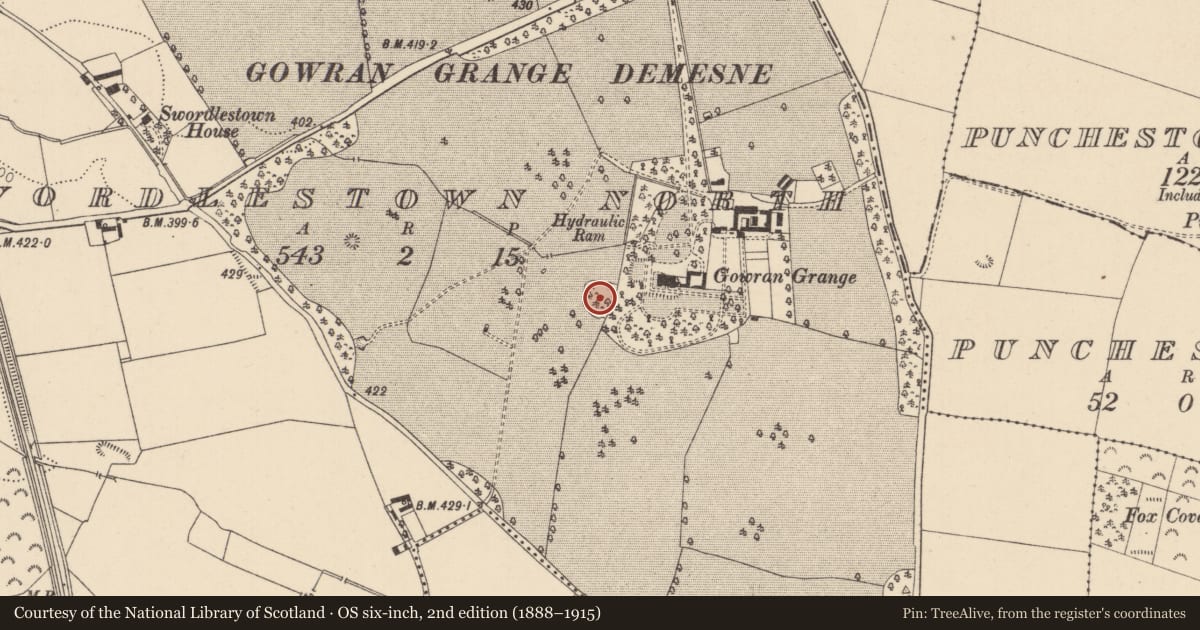Ordnance Survey six-inch map, 2nd edition (1888–1915) covering the location of Designed landscape feature, Swordlestown North, County Kildare, with a pin at the register's coordinates