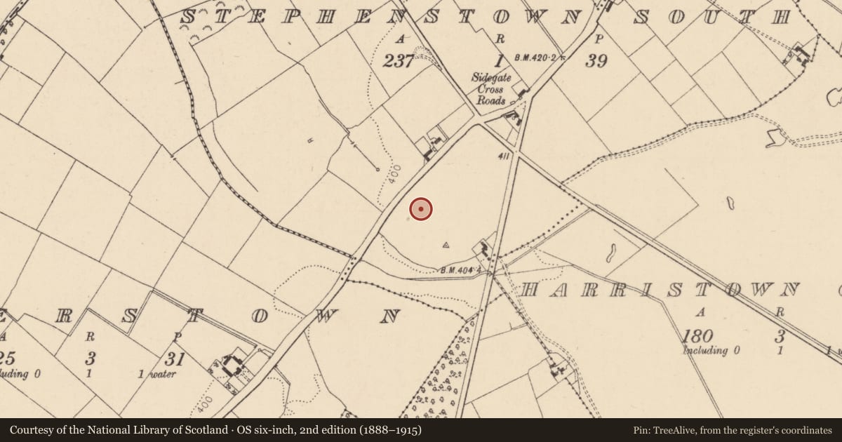 Ordnance Survey six-inch map, 2nd edition (1888–1915) covering the location of Enclosure, Stephenstown South, County Kildare, with a pin at the register's coordinates