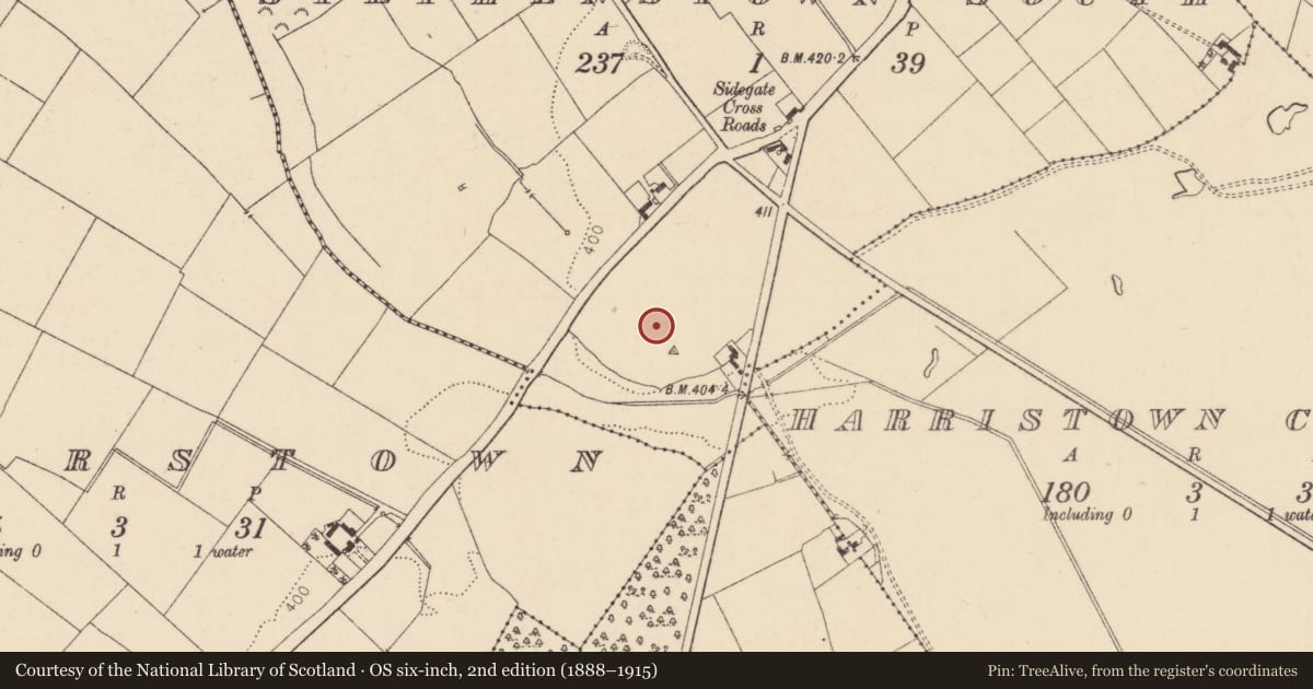 Ordnance Survey six-inch map, 2nd edition (1888–1915) covering the location of Enclosure, Stephenstown South, County Kildare, with a pin at the register's coordinates