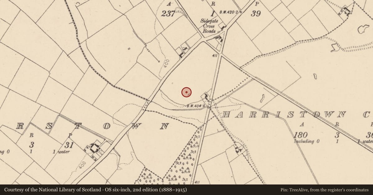 Ordnance Survey six-inch map, 2nd edition (1888–1915) covering the location of Enclosure, Stephenstown South, County Kildare, with a pin at the register's coordinates