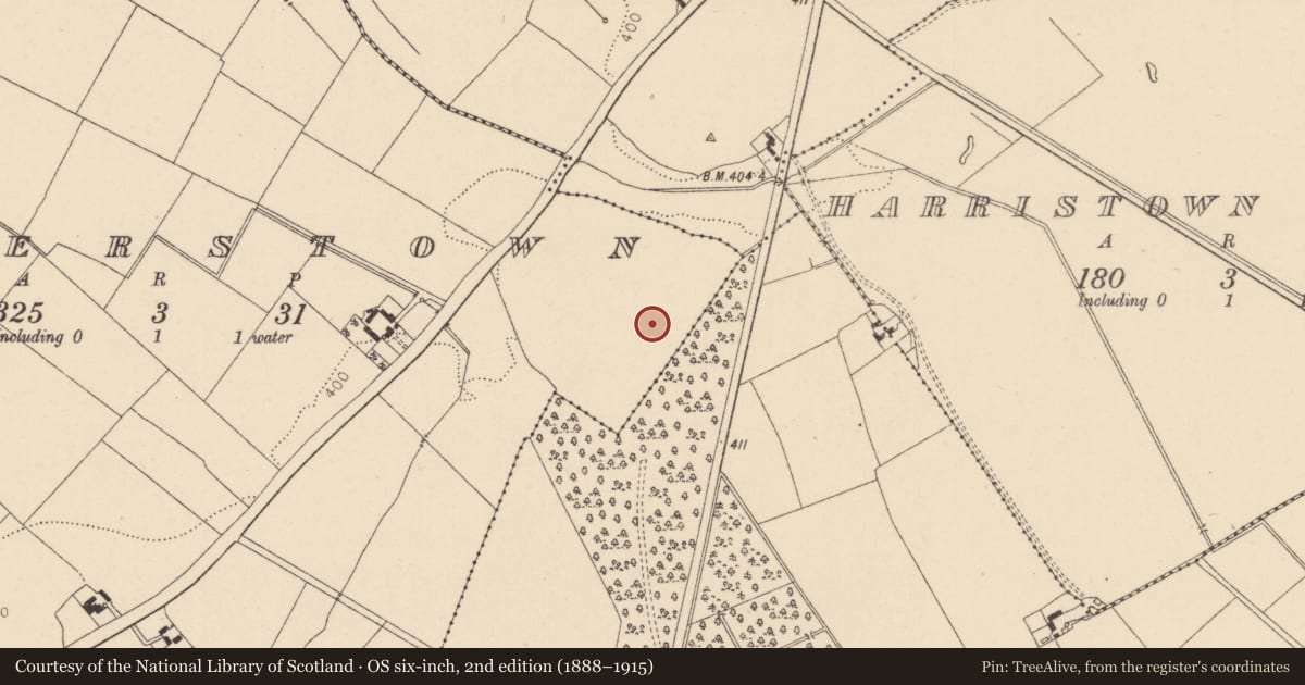Ordnance Survey six-inch map, 2nd edition (1888–1915) covering the location of Enclosure, Walterstown, County Kildare, with a pin at the register's coordinates