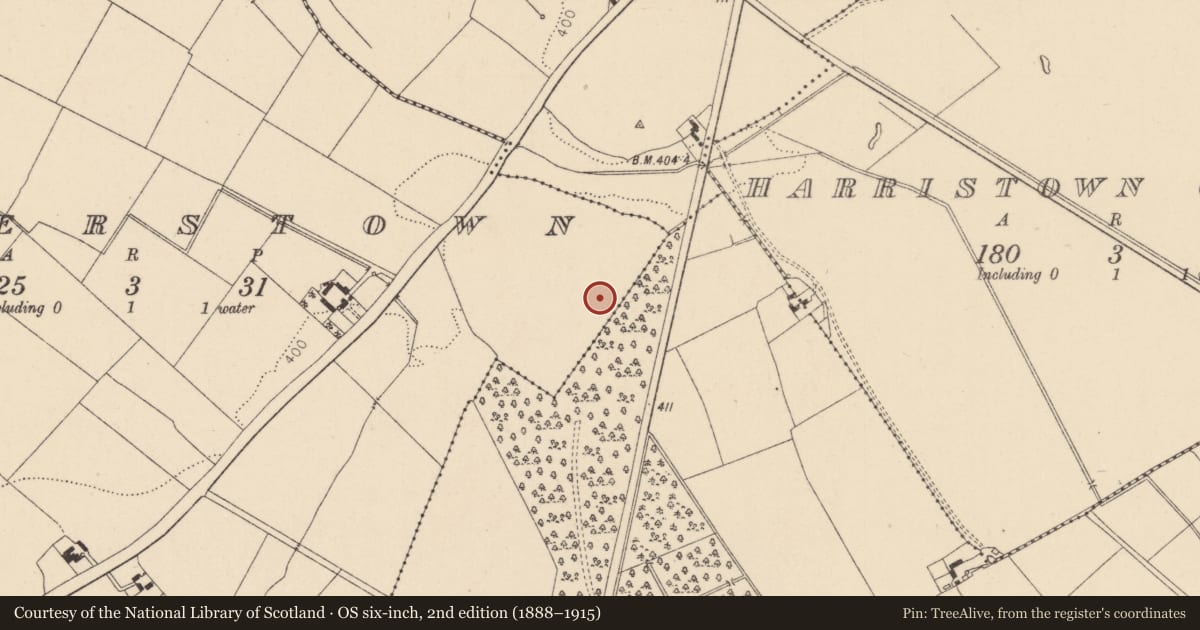 Ordnance Survey six-inch map, 2nd edition (1888–1915) covering the location of Enclosure, Walterstown, County Kildare, with a pin at the register's coordinates