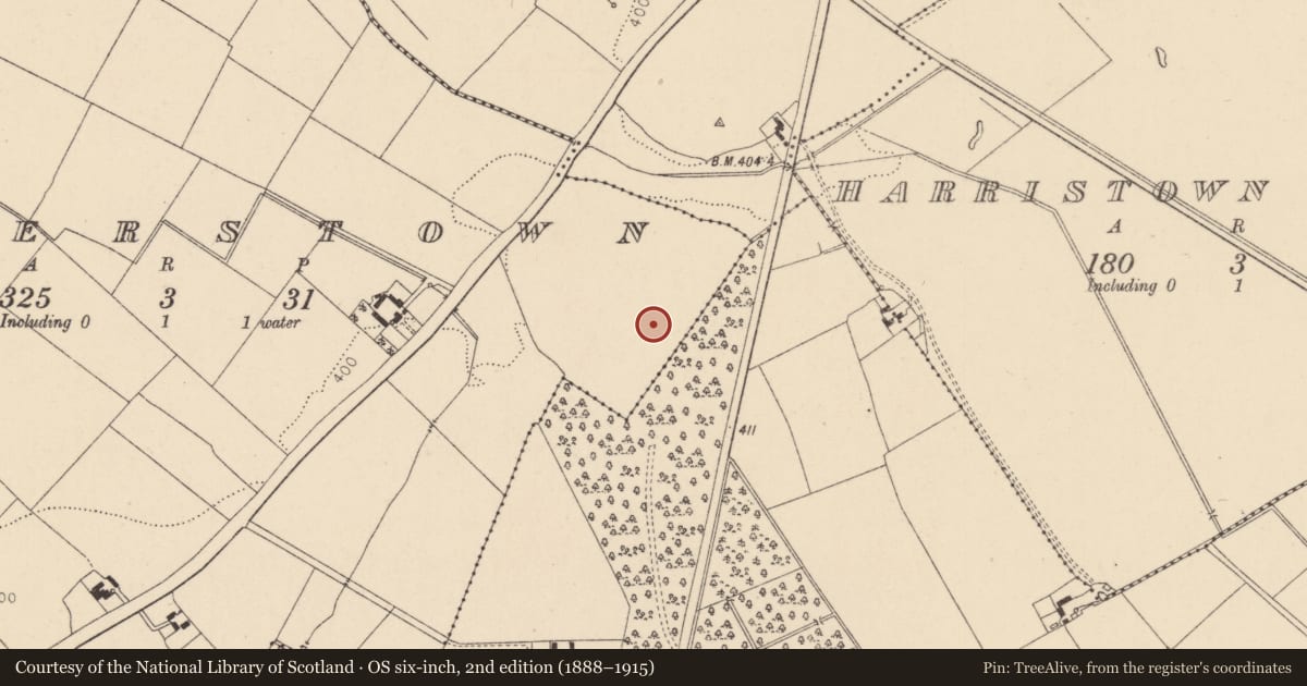 Ordnance Survey six-inch map, 2nd edition (1888–1915) covering the location of Enclosure, Walterstown, County Kildare, with a pin at the register's coordinates