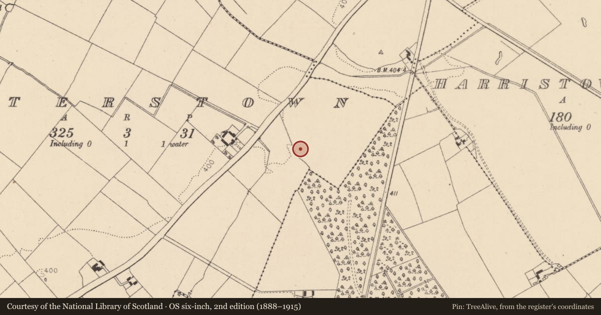Ordnance Survey six-inch map, 2nd edition (1888–1915) covering the location of Enclosure, Walterstown, County Kildare, with a pin at the register's coordinates