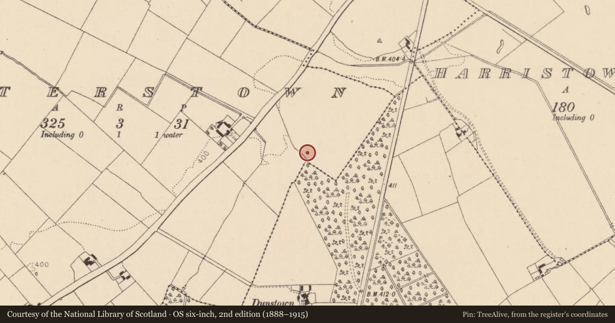 Ordnance Survey six-inch map, 2nd edition (1888–1915) covering the location of Enclosure, Walterstown, County Kildare, with a pin at the register's coordinates