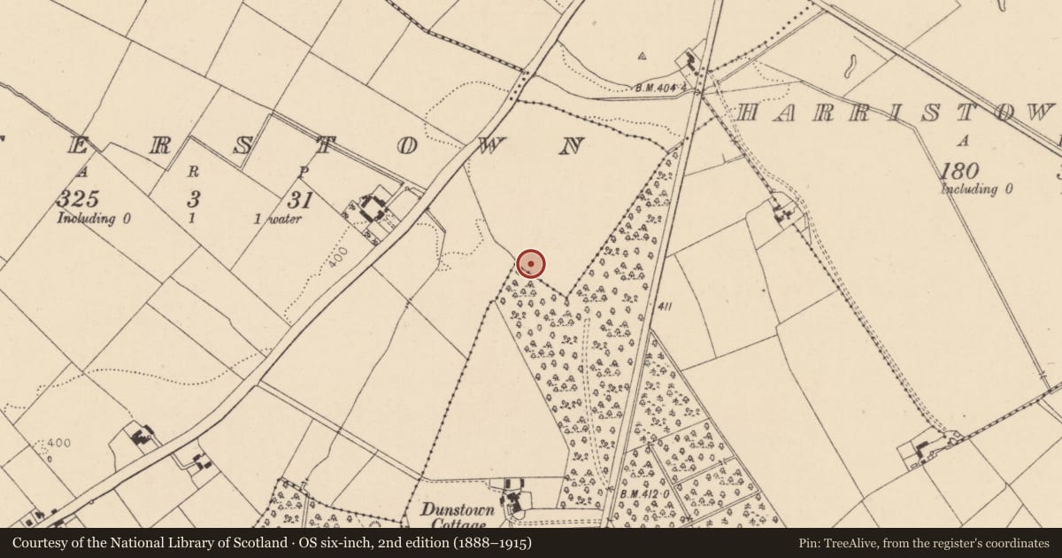 Ordnance Survey six-inch map, 2nd edition (1888–1915) covering the location of Enclosure, Walterstown, County Kildare, with a pin at the register's coordinates