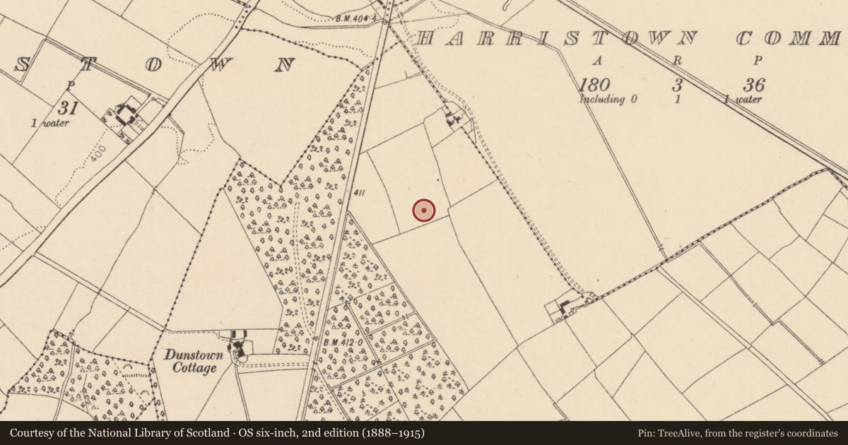 Ordnance Survey six-inch map, 2nd edition (1888–1915) covering the location of Enclosure, Dunnstown, County Kildare, with a pin at the register's coordinates
