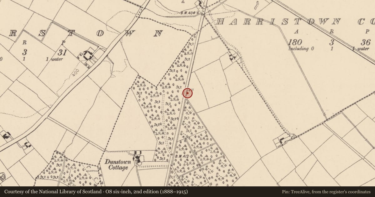 Ordnance Survey six-inch map, 2nd edition (1888–1915) covering the location of Enclosure, Dunnstown, County Kildare, with a pin at the register's coordinates