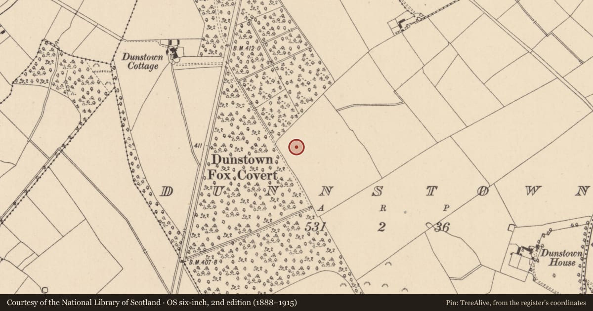 Ordnance Survey six-inch map, 2nd edition (1888–1915) covering the location of Enclosure, Dunnstown, County Kildare, with a pin at the register's coordinates