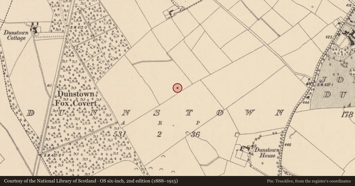 Ordnance Survey six-inch map, 2nd edition (1888–1915) covering the location of Enclosure, Dunnstown, County Kildare, with a pin at the register's coordinates