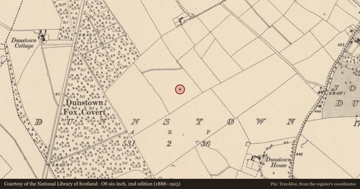 Ordnance Survey six-inch map, 2nd edition (1888–1915) covering the location of Enclosure, Dunnstown, County Kildare, with a pin at the register's coordinates