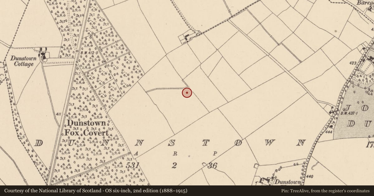 Ordnance Survey six-inch map, 2nd edition (1888–1915) covering the location of Enclosure, Dunnstown, County Kildare, with a pin at the register's coordinates