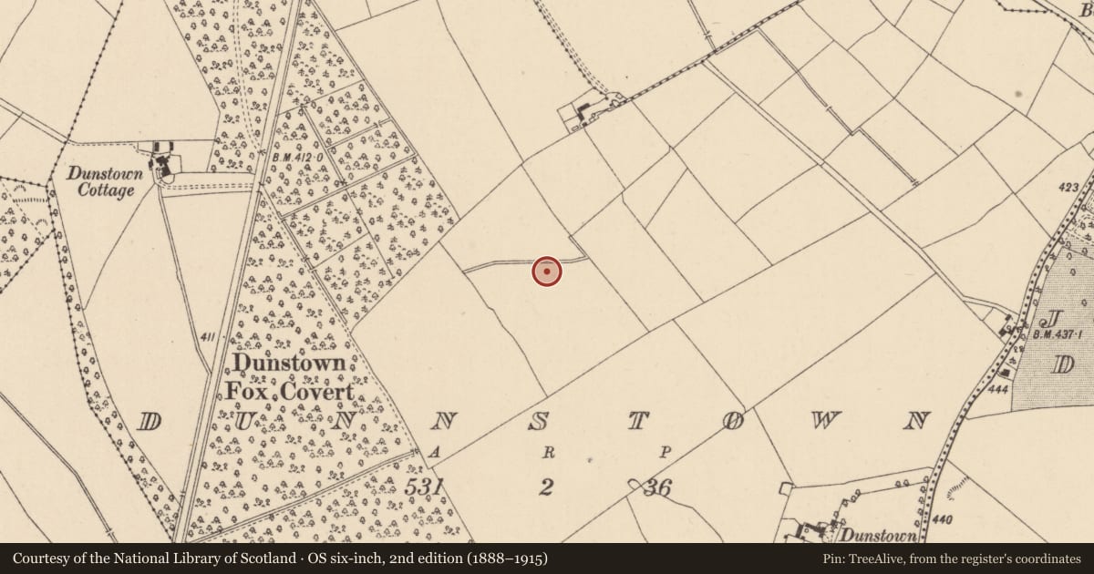 Ordnance Survey six-inch map, 2nd edition (1888–1915) covering the location of Enclosure, Dunnstown, County Kildare, with a pin at the register's coordinates