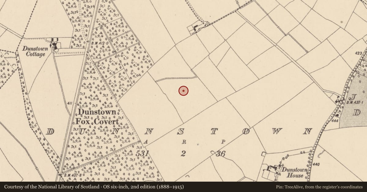 Ordnance Survey six-inch map, 2nd edition (1888–1915) covering the location of Enclosure, Dunnstown, County Kildare, with a pin at the register's coordinates