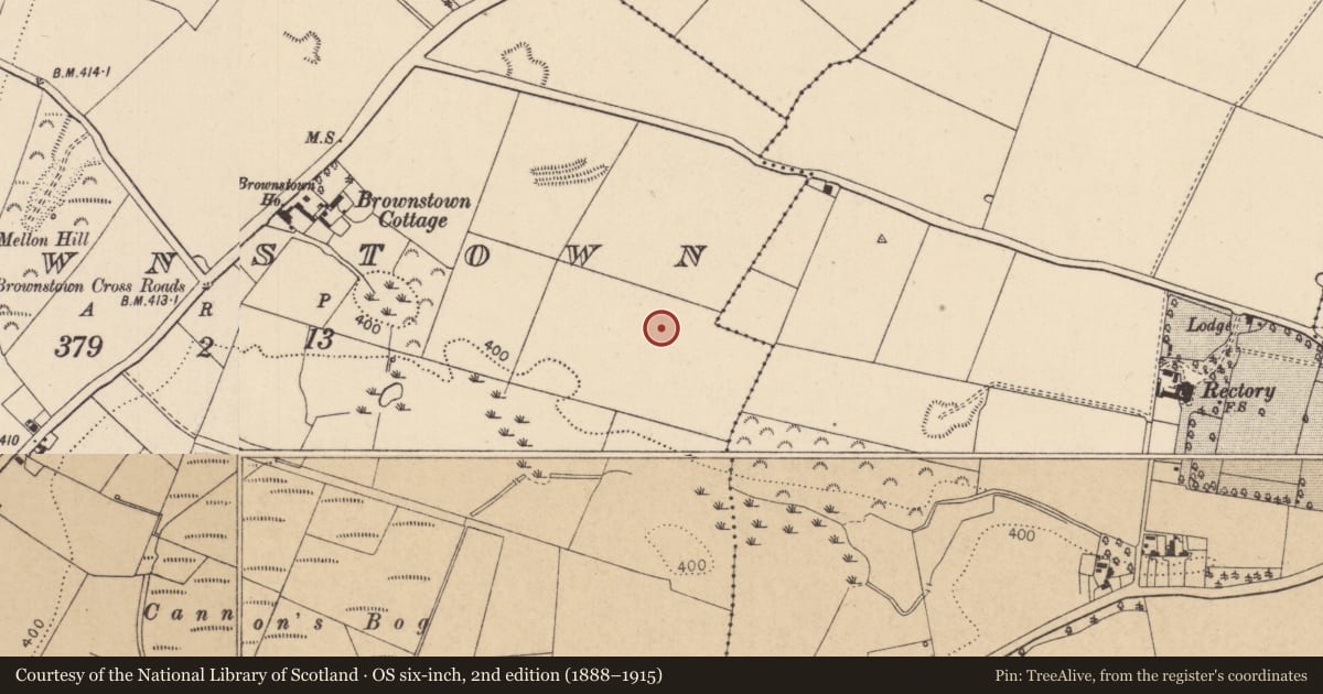 Ordnance Survey six-inch map, 2nd edition (1888–1915) covering the location of Kiln - corn-drying, Brownstown, County Kildare, with a pin at the register's coordinates
