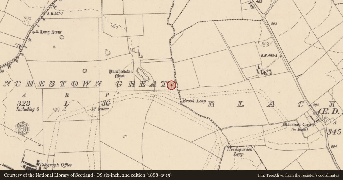 Ordnance Survey six-inch map, 2nd edition (1888–1915) covering the location of Cist, Punchestown Great, County Kildare, with a pin at the register's coordinates