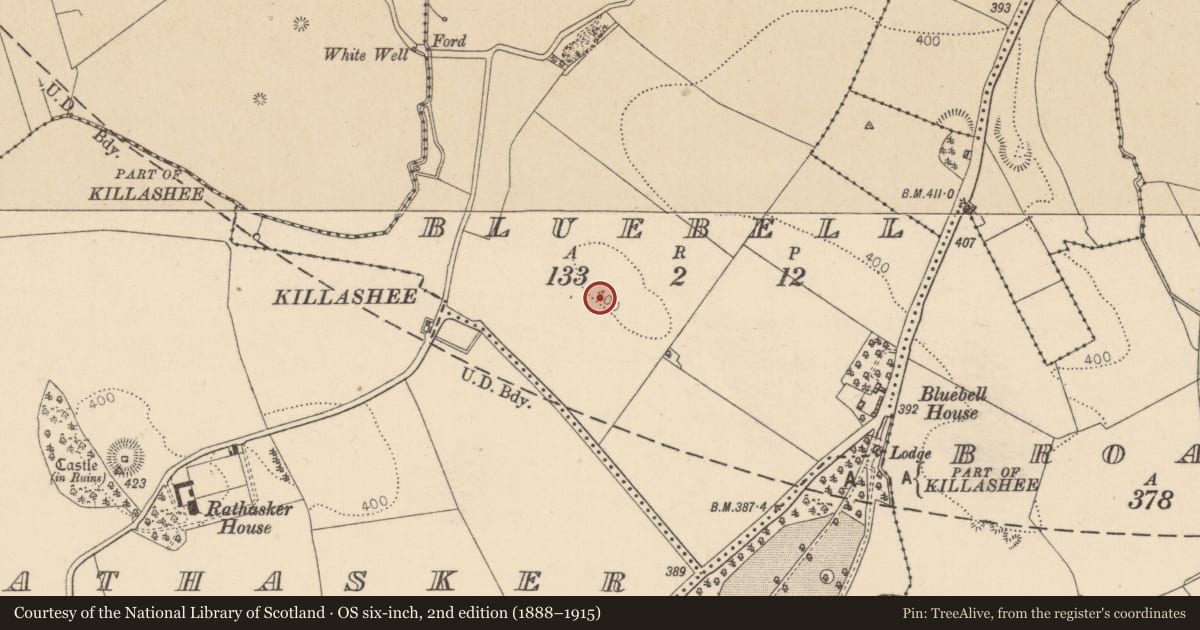 Ordnance Survey six-inch map, 2nd edition (1888–1915) covering the location of Enclosure, Bluebell, County Kildare, with a pin at the register's coordinates
