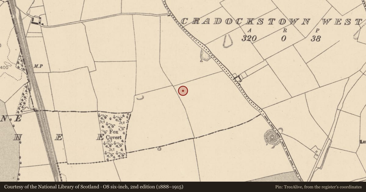 Ordnance Survey six-inch map, 2nd edition (1888–1915) covering the location of Barrow - ditch barrow, Broadfield, County Kildare, with a pin at the register's coordinates