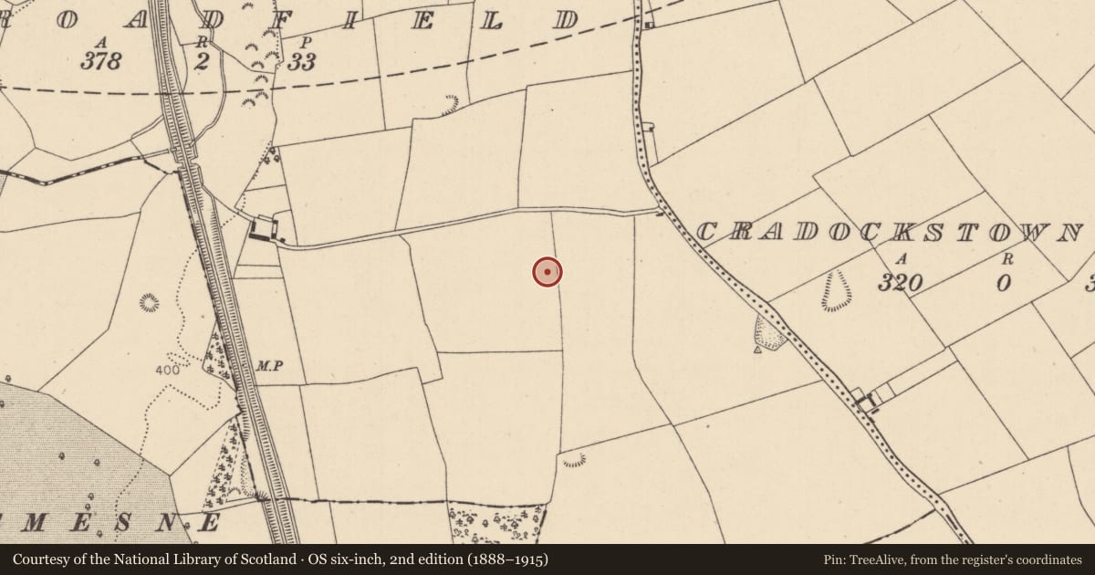 Ordnance Survey six-inch map, 2nd edition (1888–1915) covering the location of Enclosure, Broadfield, County Kildare, with a pin at the register's coordinates