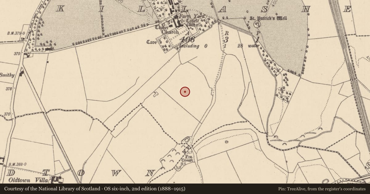 Ordnance Survey six-inch map, 2nd edition (1888–1915) covering the location of Earthwork, Killashee, County Kildare, with a pin at the register's coordinates