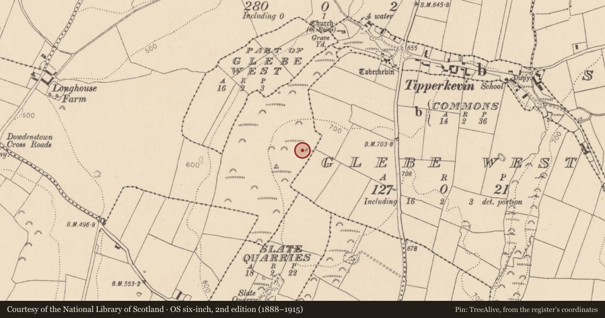 Ordnance Survey six-inch map, 2nd edition (1888–1915) covering the location of Hilltop enclosure, Tipperkevin, County Kildare, with a pin at the register's coordinates