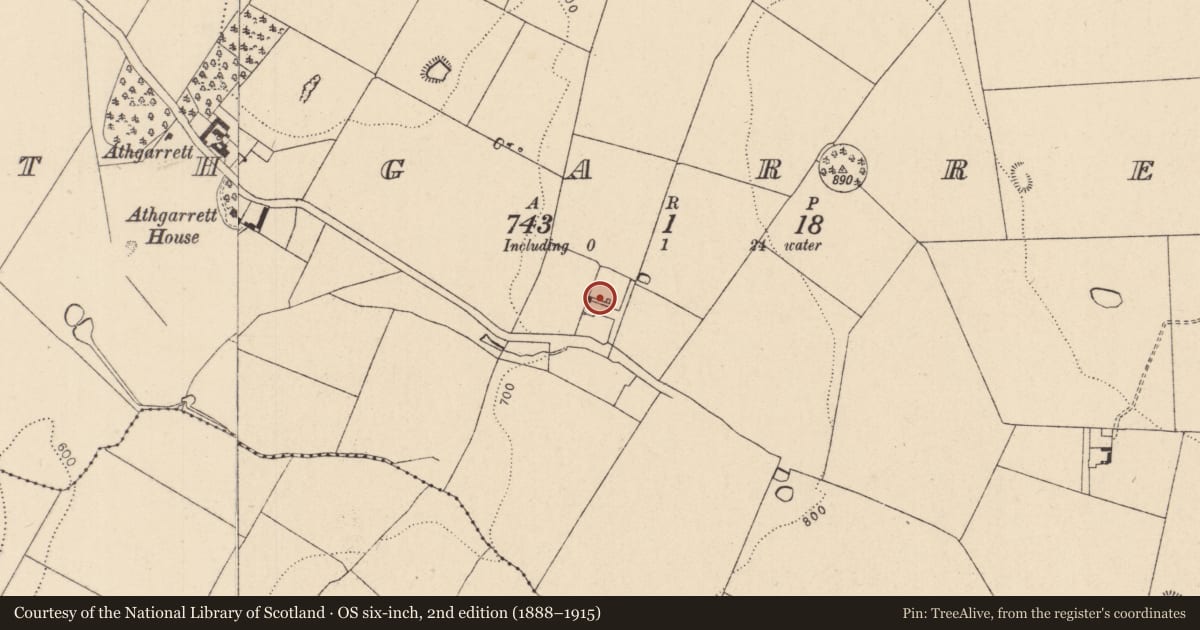 Ordnance Survey six-inch map, 2nd edition (1888–1915) covering the location of Castle - unclassified, Athgarrett, County Kildare, with a pin at the register's coordinates