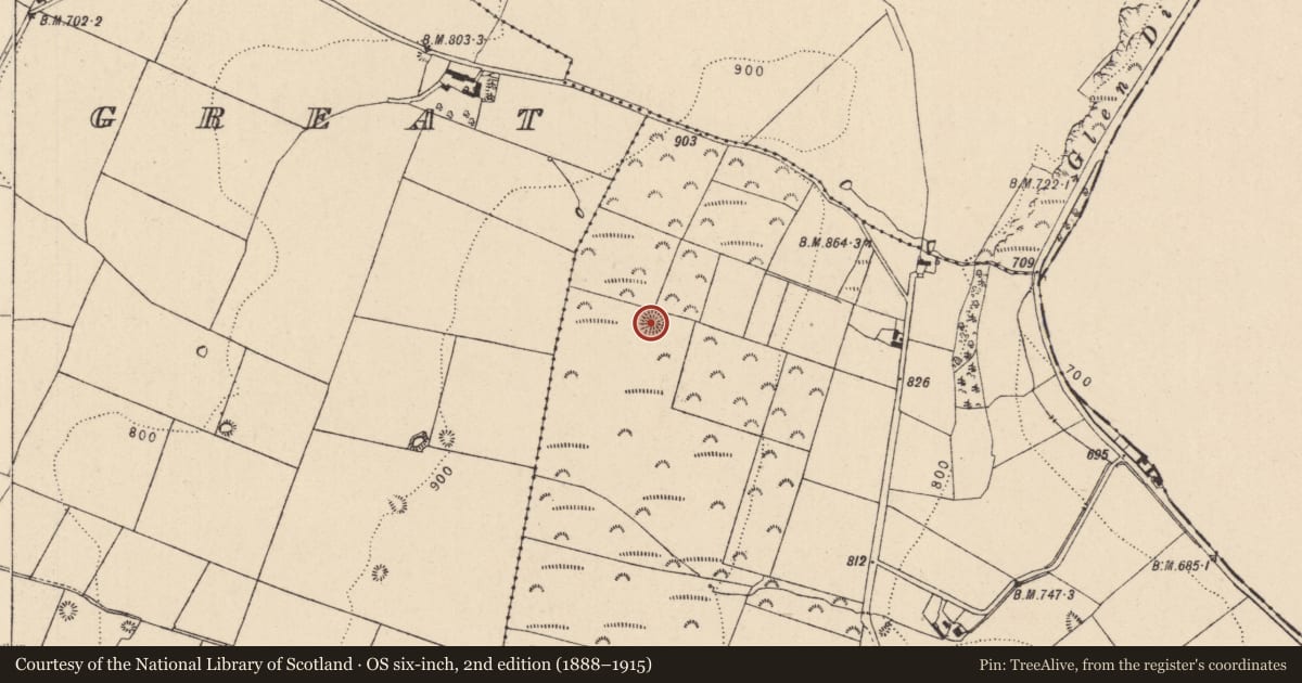Ordnance Survey six-inch map, 2nd edition (1888–1915) covering the location of Barrow - ring-barrow, Newtownpark, County Kildare, with a pin at the register's coordinates