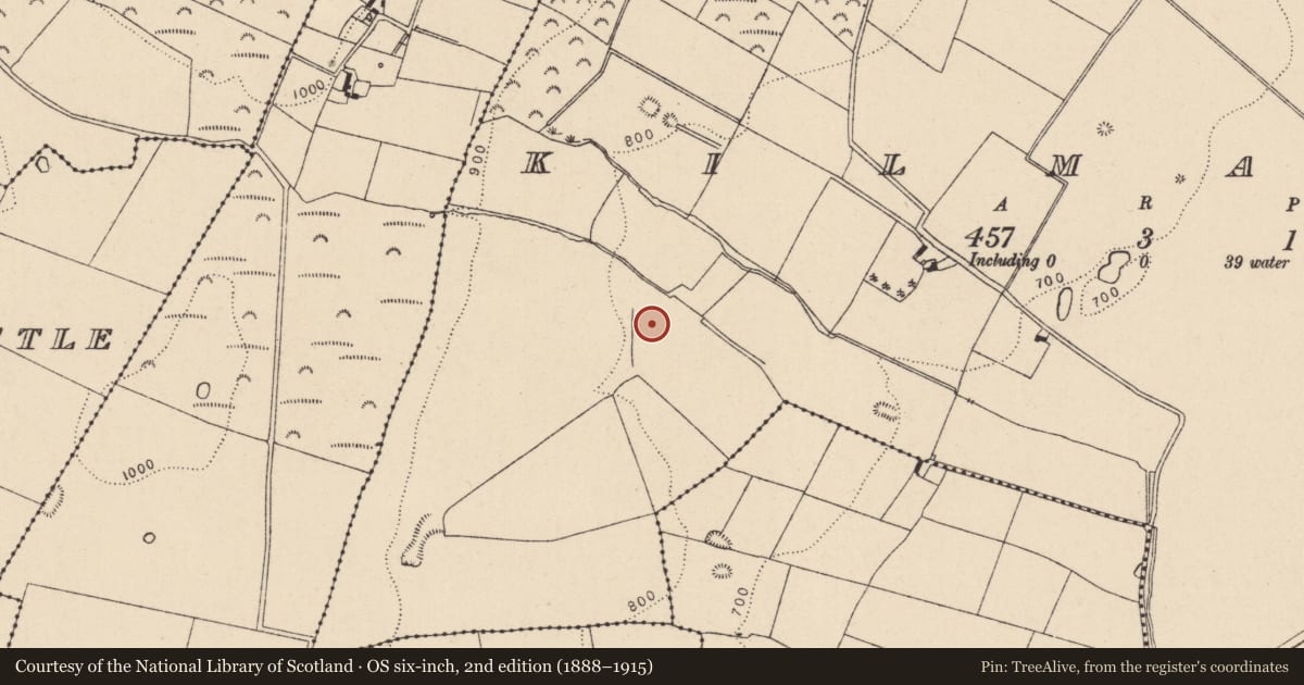 Ordnance Survey six-inch map, 2nd edition (1888–1915) covering the location of Cross, Kilmalum, County Kildare, with a pin at the register's coordinates