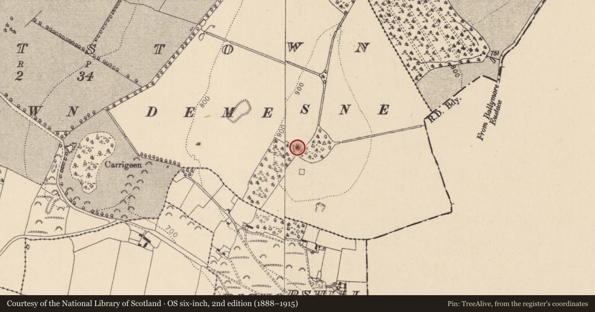 Ordnance Survey six-inch map, 2nd edition (1888–1915) covering the location of Mound, Barrettstown, County Kildare, with a pin at the register's coordinates