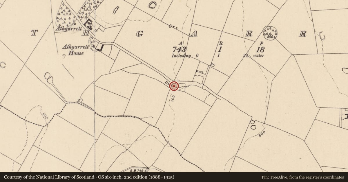 Ordnance Survey six-inch map, 2nd edition (1888–1915) covering the location of Ritual site - holy well, Athgarrett, County Kildare, with a pin at the register's coordinates