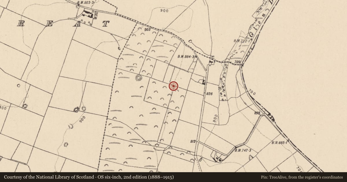 Ordnance Survey six-inch map, 2nd edition (1888–1915) covering the location of Enclosure, Newtownpark, County Kildare, with a pin at the register's coordinates