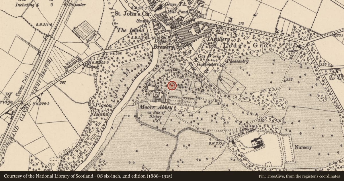 Ordnance Survey six-inch map, 2nd edition (1888–1915) covering the location of Religious house - Cistercian monks, Mooreabbey Demesne, County Kildare, with a pin at the register's coordinates