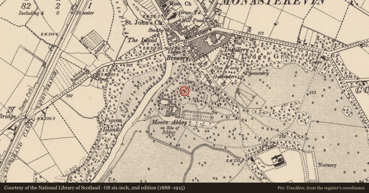 Ordnance Survey six-inch map, 2nd edition (1888–1915) covering the location of Font, Mooreabbey Demesne, County Kildare, with a pin at the register's coordinates