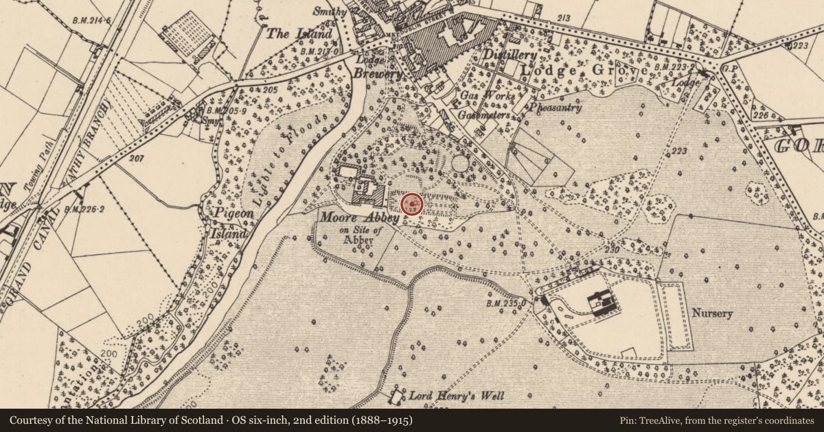 Ordnance Survey six-inch map, 2nd edition (1888–1915) covering the location of Burial, Mooreabbey Demesne, County Kildare, with a pin at the register's coordinates