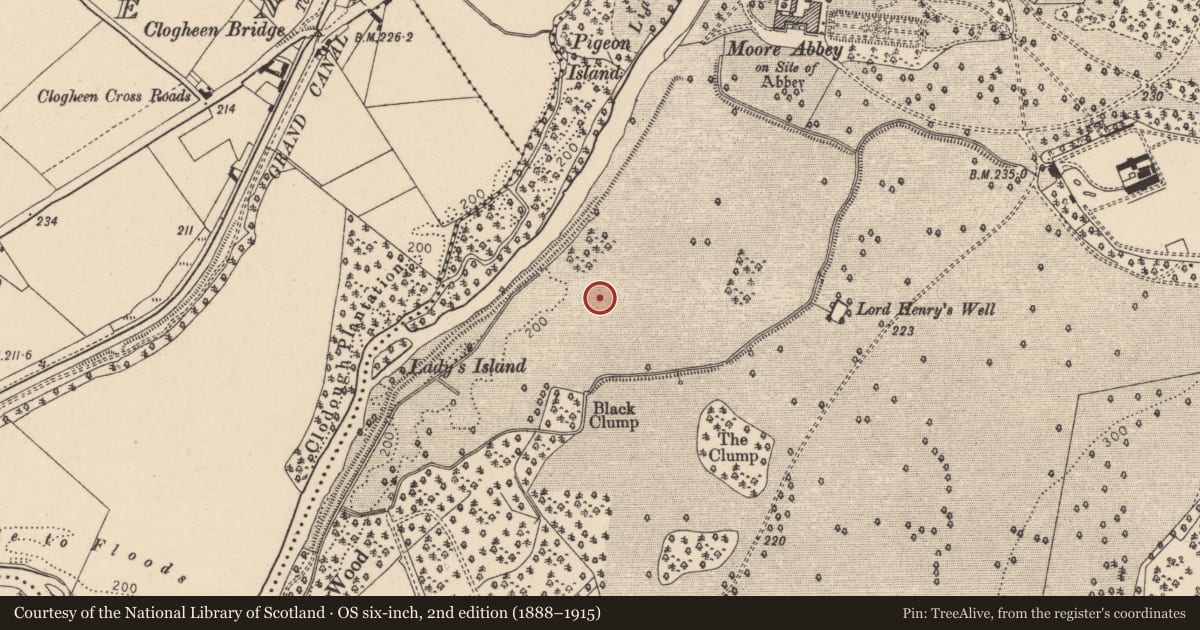 Ordnance Survey six-inch map, 2nd edition (1888–1915) covering the location of Moated site, Mooreabbey Demesne, County Kildare, with a pin at the register's coordinates