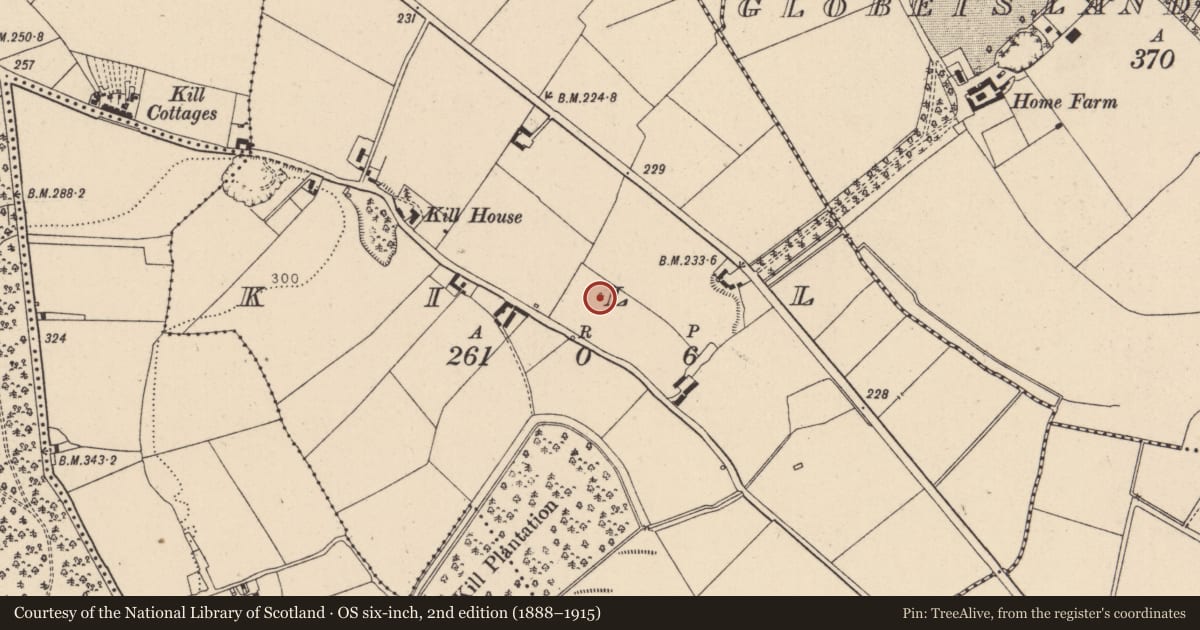 Ordnance Survey six-inch map, 2nd edition (1888–1915) covering the location of Children's burial ground, Kill, County Kildare, with a pin at the register's coordinates