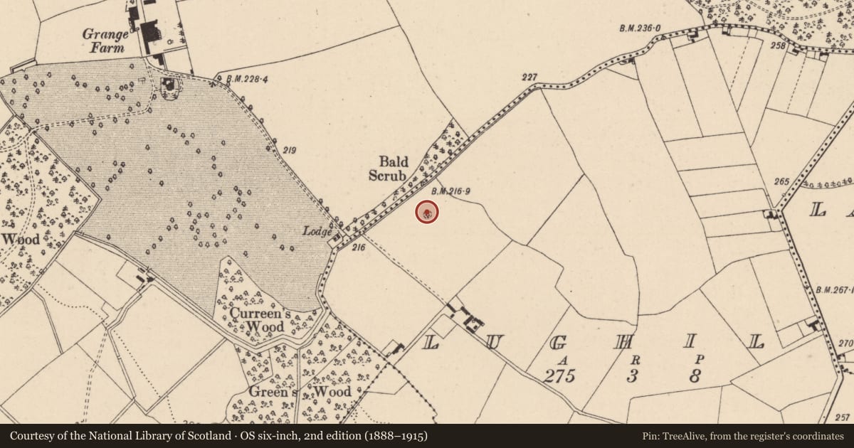 Ordnance Survey six-inch map, 2nd edition (1888–1915) covering the location of Burial ground, Lughil, County Kildare, with a pin at the register's coordinates