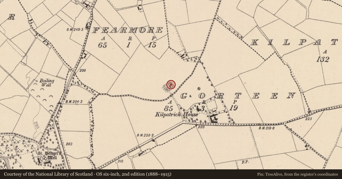 Ordnance Survey six-inch map, 2nd edition (1888–1915) covering the location of Moated site, Fearmore, County Kildare, with a pin at the register's coordinates