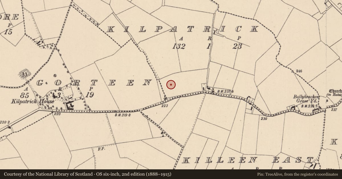 Ordnance Survey six-inch map, 2nd edition (1888–1915) covering the location of Moated site, Kilpatrick, County Kildare, with a pin at the register's coordinates