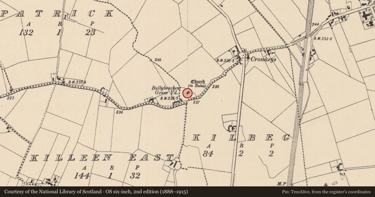 Ordnance Survey six-inch map, 2nd edition (1888–1915) covering the location of Church, Fasagh, County Kildare, with a pin at the register's coordinates