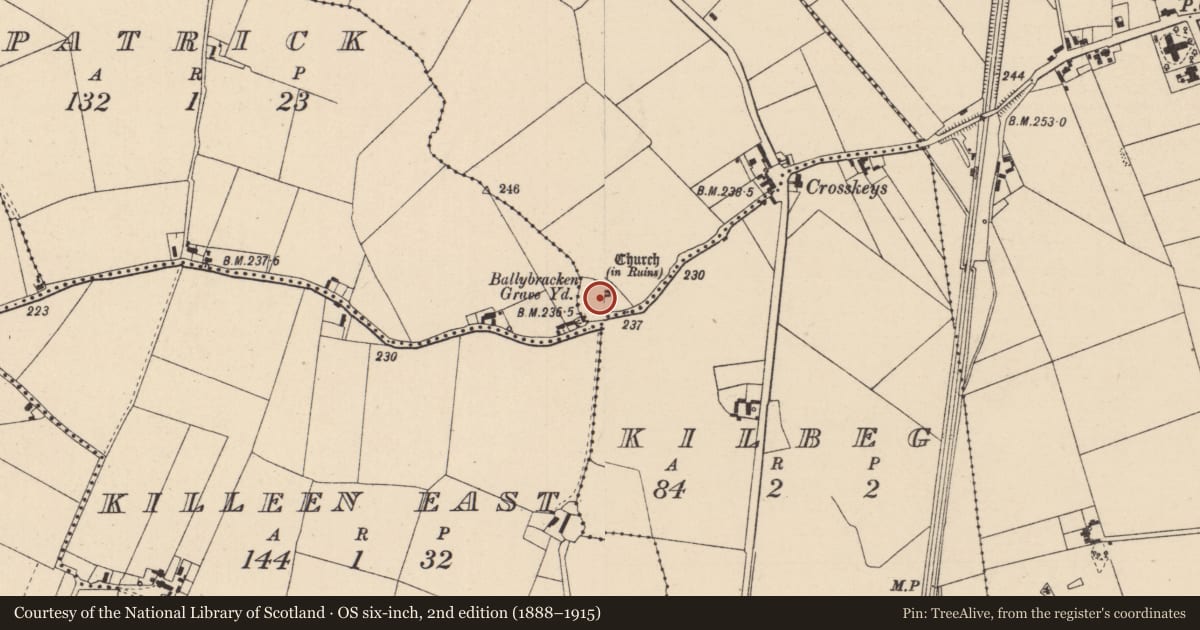 Ordnance Survey six-inch map, 2nd edition (1888–1915) covering the location of Graveyard, Fasagh, County Kildare, with a pin at the register's coordinates
