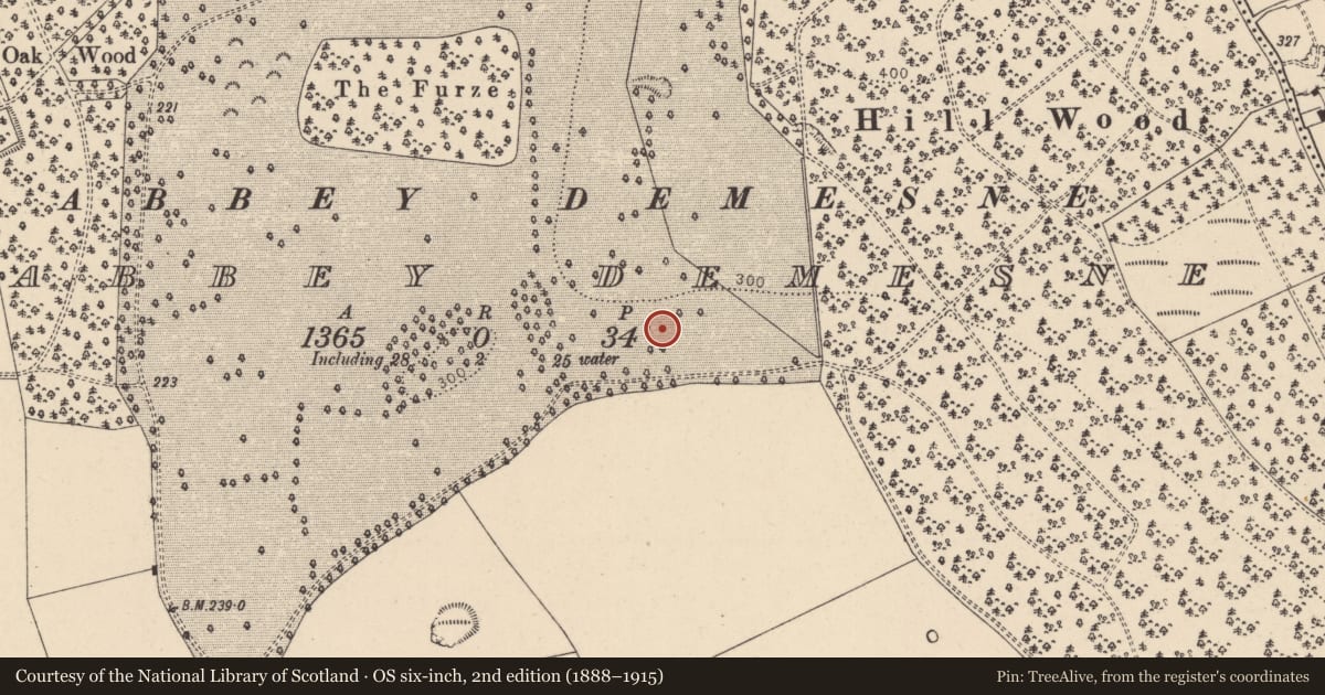 Ordnance Survey six-inch map, 2nd edition (1888–1915) covering the location of Moated site, Mooreabbey Demesne, County Kildare, with a pin at the register's coordinates